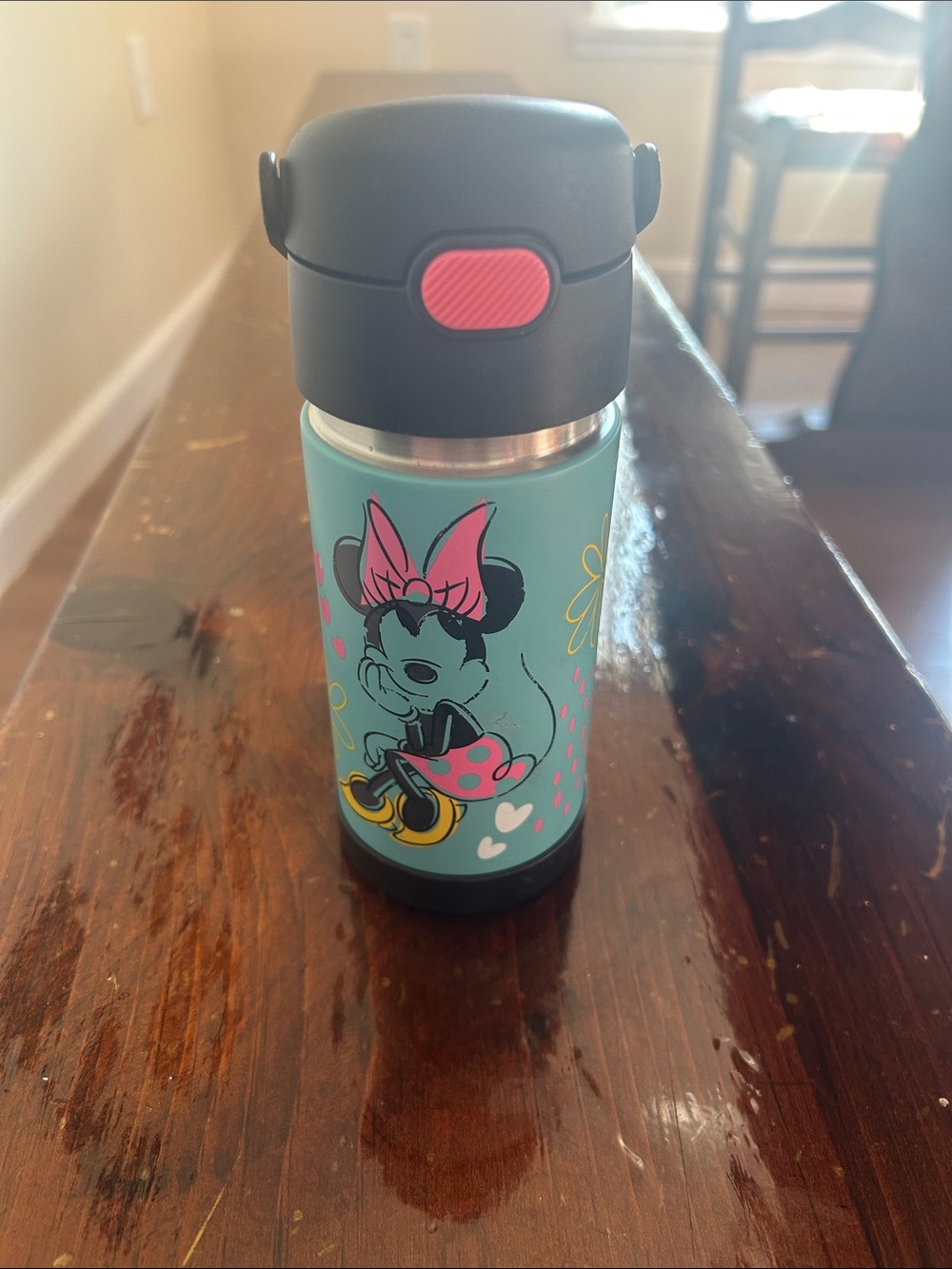 Thermos Kids Minnie Mouse Teal Pink Black Stainless Water Bottle